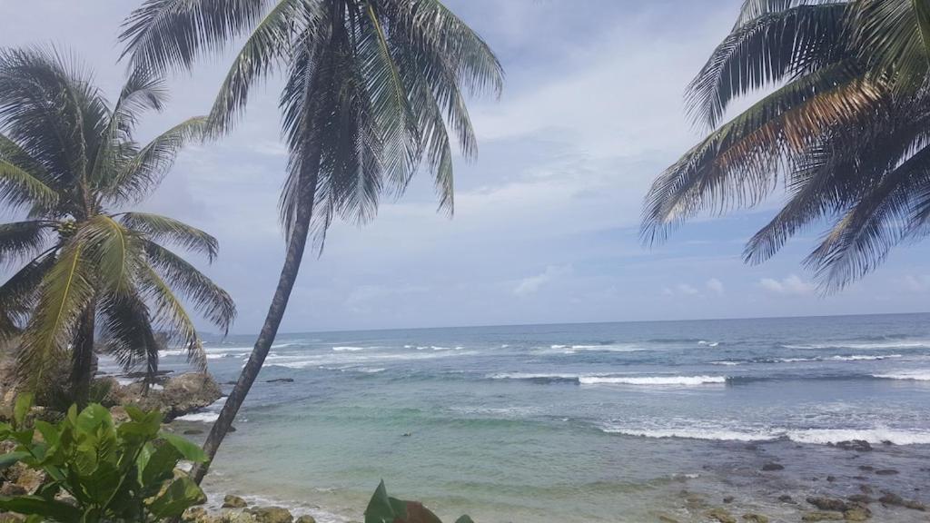 הוילה ברידג'טאון Donamae 2 Story Barbados House מראה חיצוני תמונה